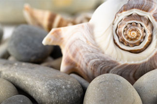 Articles for Empaths and Highly Sensitive Persons